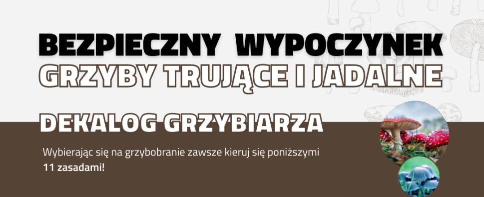https://pckziu-wieliczka.pl/files/photos/grzyby2021/grzyby.png