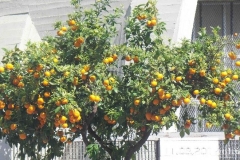 df27d2e-big