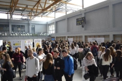 72ff9cd-big