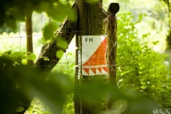 f96c892-big