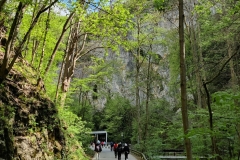 IMG-20240421-WA0005