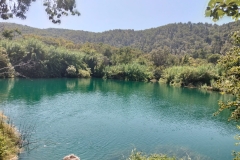 IMG-20240924-WA0022