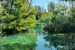IMG-20240924-WA0037