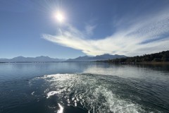 IMG_4553