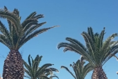 IMG-20230617-WA0010