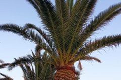 IMG-20230622-WA0002