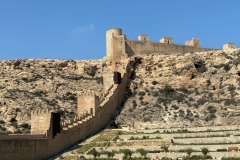 IMG-20240924-WA0060