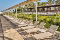 Screenshot_20260416_205649_com_android_chrome_CustomTabActivity_edit_643296755786881