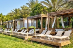 Screenshot_20260416_205656_com_android_chrome_CustomTabActivity_edit_643264731660725