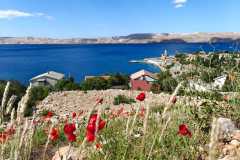 IMG-20260523-WA0005