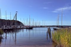 IMG-20260908-WA0038