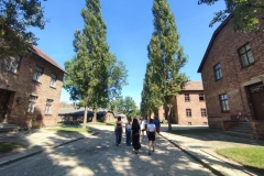 IMG_20230908_124618